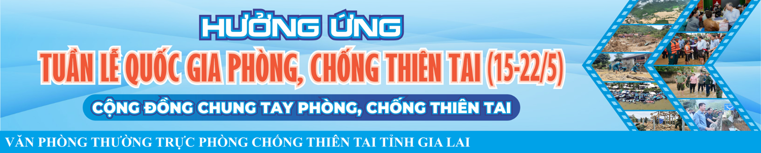 Văn phòng Thường trực Phòng, chống Ok365m tải app tỉnh Gia Lai